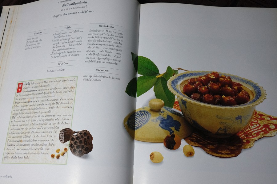 อาหารเครื่องยาจีน หลักโภชนาการ พร้อมสูตรอาหารอายุวัฒนะ ปกเเข็ง ปี 2541