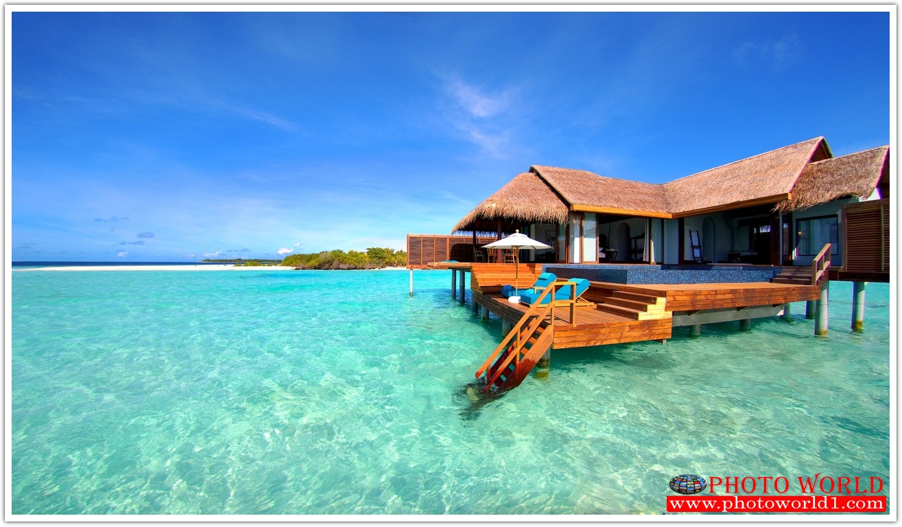 วอลเปเปอร์รูปภาพติดผนังสั่งทำ มีภาพให้เลือกกว่า 50,000 ภาพ ออกแบบกราฟฟิค หรือ รูปภาพตามที่ท่านกำหนด ในสไตล์ท่านเอง "custom made"