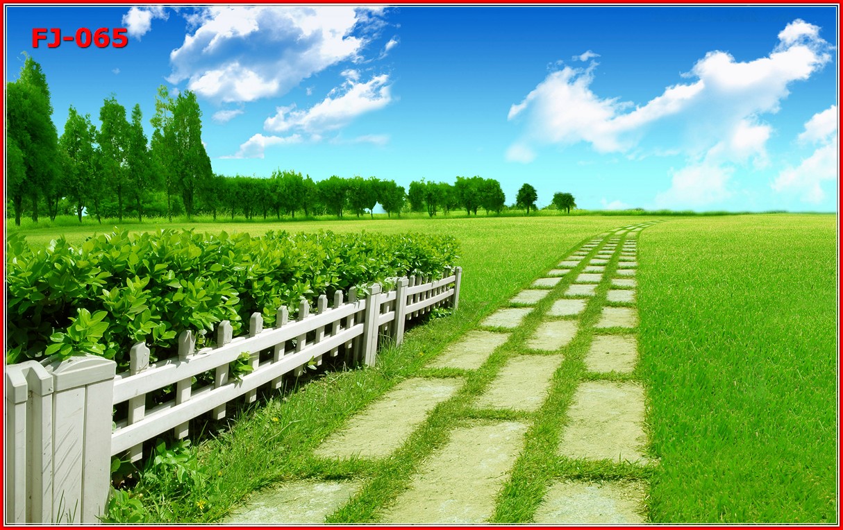 วอลเปเปอร์รูปภาพติดผนังสั่งทำ มีภาพให้เลือกกว่า 50,000 ภาพ ออกแบบกราฟฟิค หรือ รูปภาพตามที่ท่านกำหนด ในสไตล์ท่านเอง "custom made"