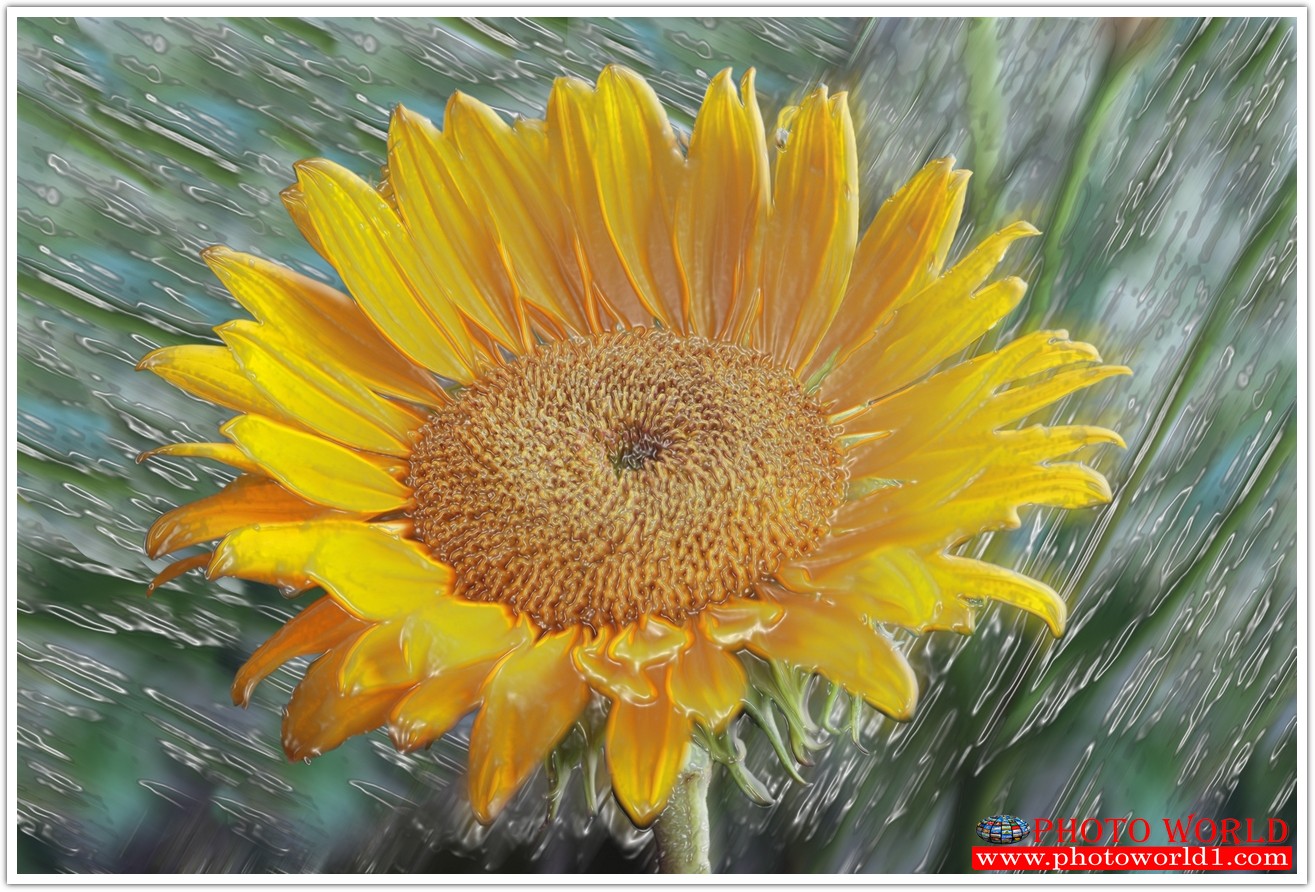 วอลเปเปอร์รูปภาพติดผนังสั่งทำ มีภาพให้เลือกกว่า 50,000 ภาพ ออกแบบกราฟฟิค หรือ รูปภาพตามที่ท่านกำหนด ในสไตล์ท่านเอง "custom made"