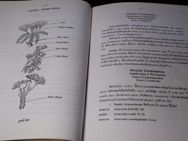 การตรวจเอกลักษณ์พืชสมุนไพร ภาคพิเศษ โดย สถาบันการเเพทย์ไทย เเละ คณะเภสัช ม.เชียงใหม่