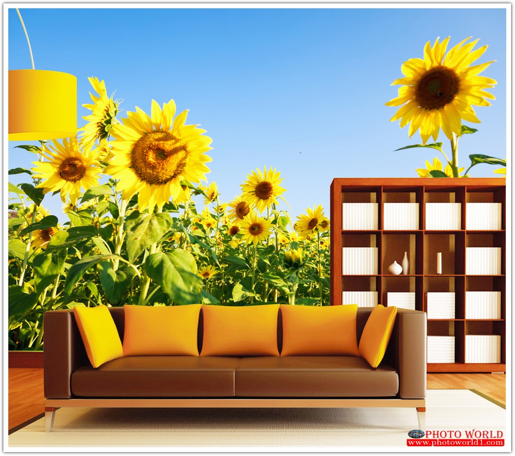 วอลเปเปอร์รูปภาพติดผนังสั่งทำ มีภาพให้เลือกกว่า 50,000 ภาพ ออกแบบกราฟฟิค หรือ รูปภาพตามที่ท่านกำหนด ในสไตล์ท่านเอง "custom made"