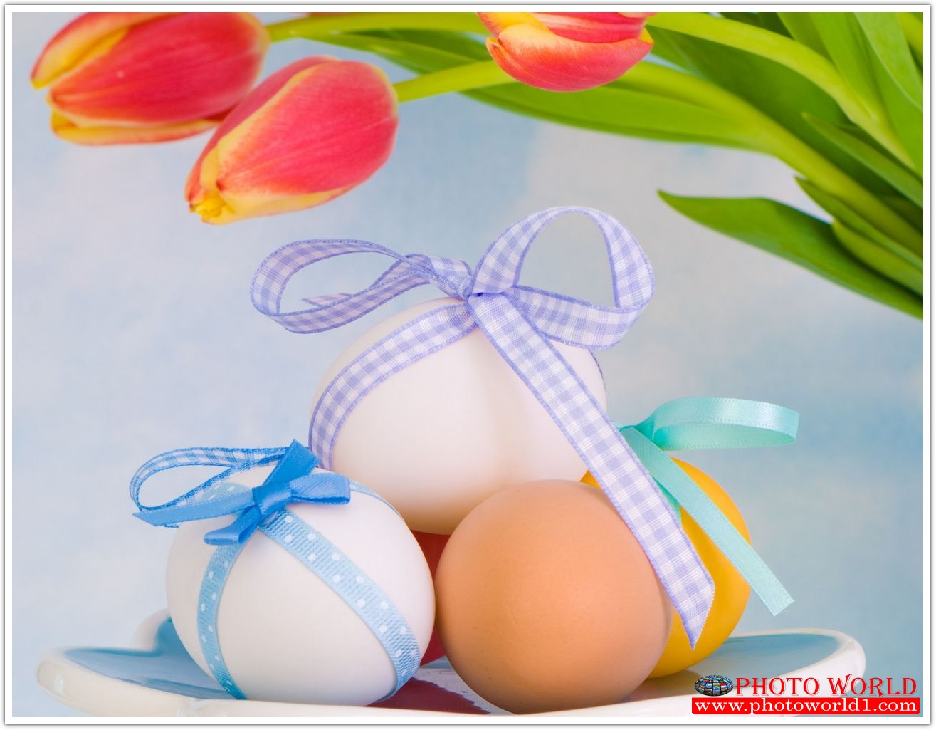 วอลเปเปอร์รูปภาพติดผนังสั่งทำ มีภาพให้เลือกกว่า 50,000 ภาพ ออกแบบกราฟฟิค หรือ รูปภาพตามที่ท่านกำหนด ในสไตล์ท่านเอง "custom made"