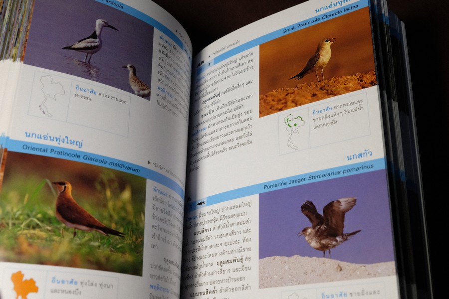Thailand Bird Guide โดย ร่งโรจน์ จุกมงคล ปี 2549