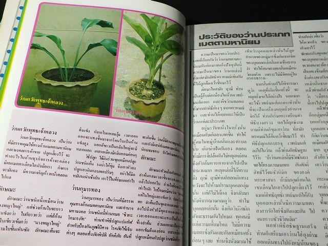 สารานุกรมว่านไทย ฉบับสมบูรณ์ โดย ทัศนา ทัศนมิตร-ดำรงศักดิ์ นาคนิยม (สอบถาม)