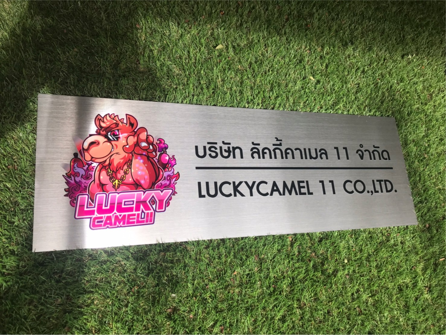 ป้ายสกีน