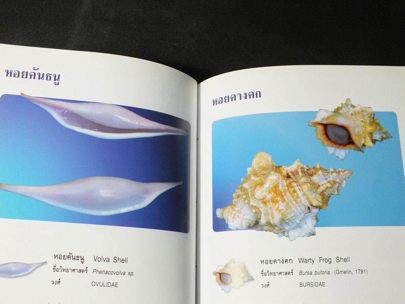 หอยเป็นยา ตามตำรับยาการเเพทย์เเผนไทย โดย เเพทย์หญิงเพ็ญนภา ทรัพย์เจริญ ปกแข็ง ปี 2545