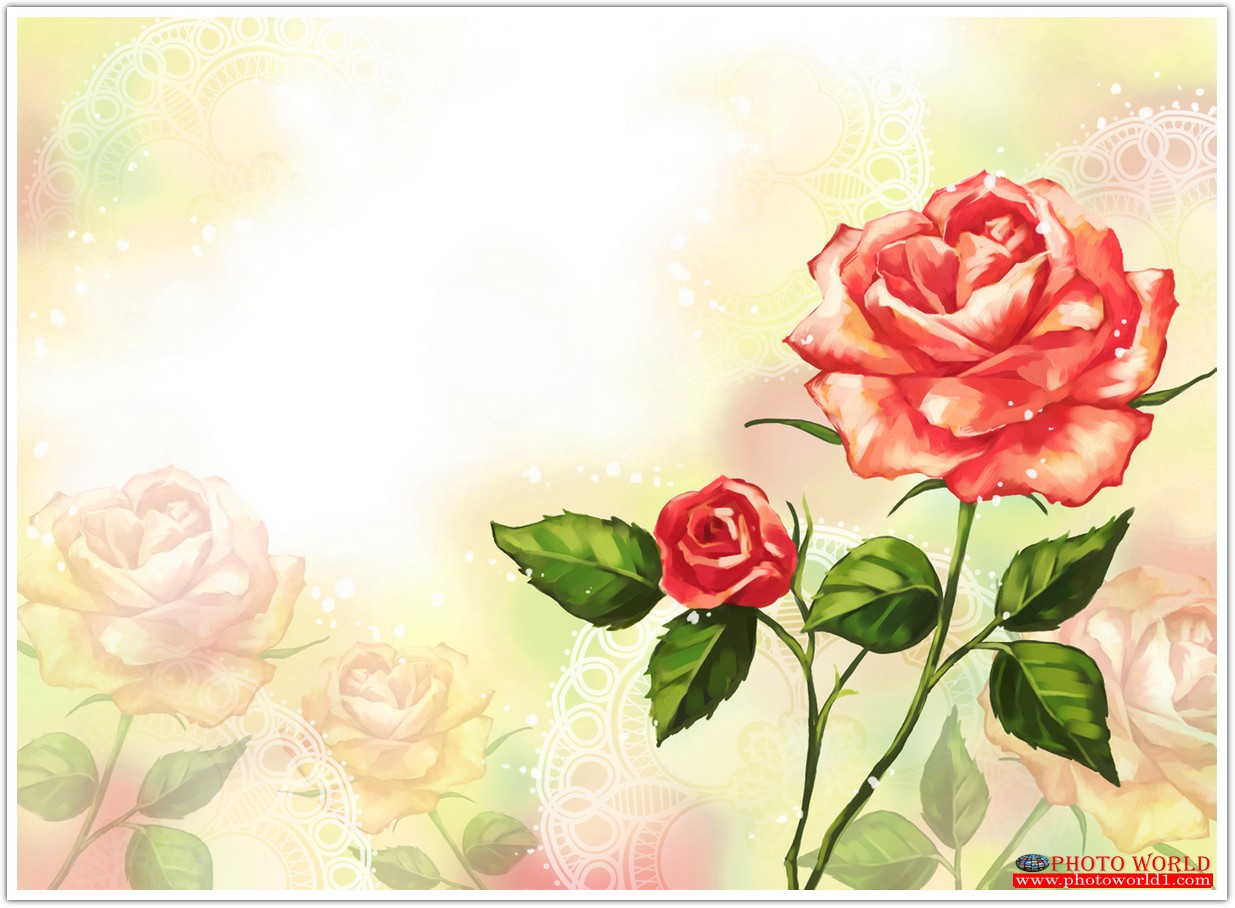 วอลเปเปอร์รูปภาพติดผนังสั่งทำ มีภาพให้เลือกกว่า 50,000 ภาพ ออกแบบกราฟฟิค หรือ รูปภาพตามที่ท่านกำหนด ในสไตล์ท่านเอง "custom made"