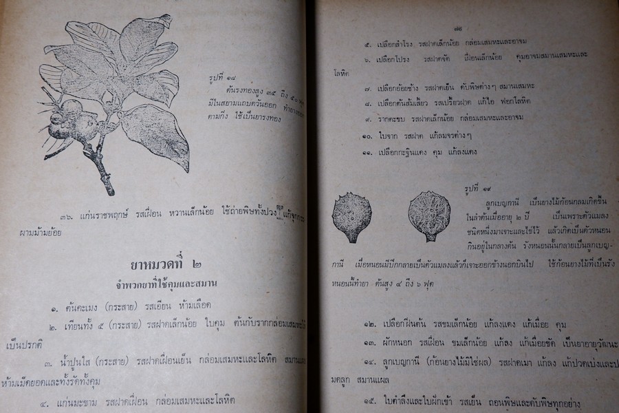 ตำรายา จัดพิมพ์โดย อภิชิโต ภิกขุ ,ชาตรี โสภณพานิช , สว่าง เลาหทัย ปกเเข็ง 786 หน้า ปี 2523