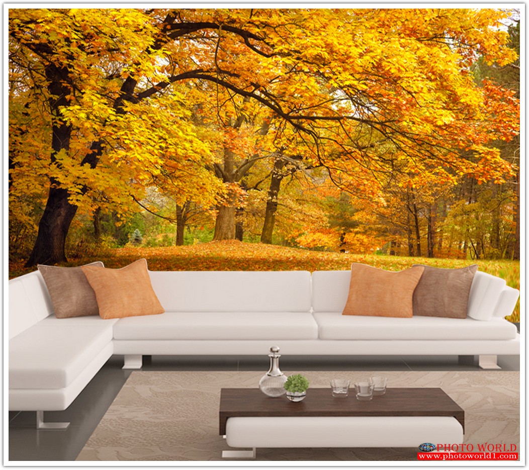 วอลเปเปอร์รูปภาพติดผนังสั่งทำ มีภาพให้เลือกกว่า 50,000 ภาพ ออกแบบกราฟฟิค หรือ รูปภาพตามที่ท่านกำหนด ในสไตล์ท่านเอง "custom made"