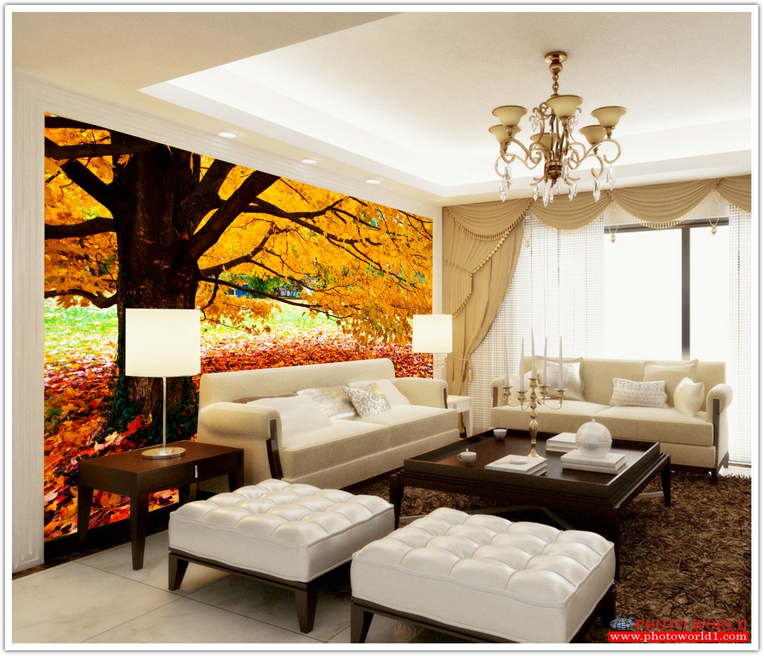 วอลเปเปอร์รูปภาพติดผนังสั่งทำ มีภาพให้เลือกกว่า 50,000 ภาพ ออกแบบกราฟฟิค หรือ รูปภาพตามที่ท่านกำหนด ในสไตล์ท่านเอง "custom made"