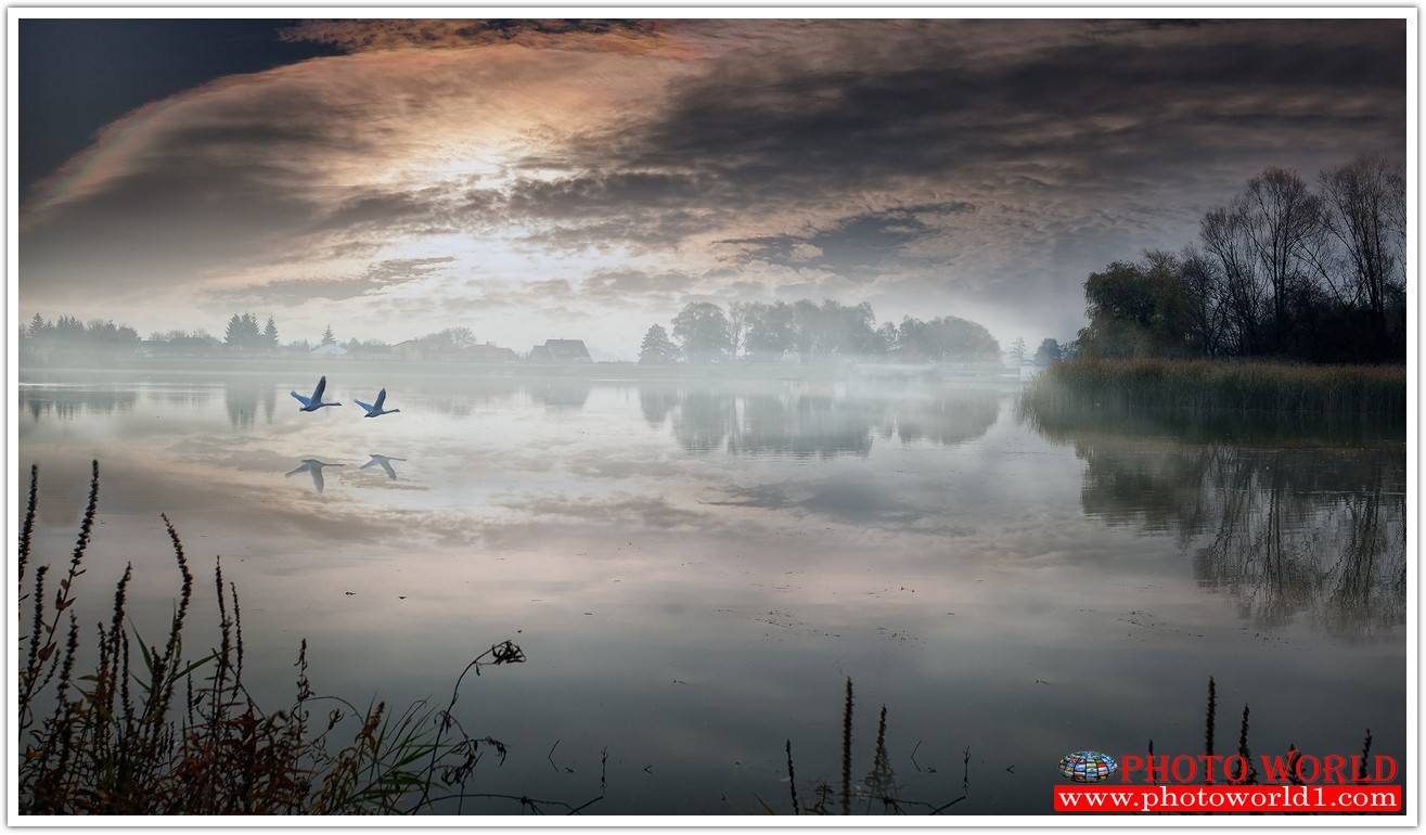 NATURAL วอลเปเปอร์รูปภาพติดผนังสั่งทำ มีภาพให้เลือกกว่า 50,000 ภาพ ออกแบบกราฟฟิค หรือ รูปภาพตามที่ท่านกำหนด ในสไตล์ท่านเอง "custom made"