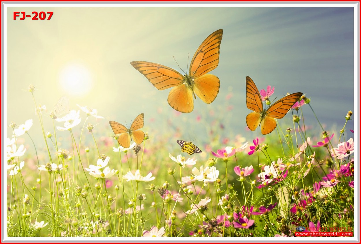 วอลเปเปอร์รูปภาพติดผนังสั่งทำ มีภาพให้เลือกกว่า 50,000 ภาพ ออกแบบกราฟฟิค หรือ รูปภาพตามที่ท่านกำหนด ในสไตล์ท่านเอง "custom made"