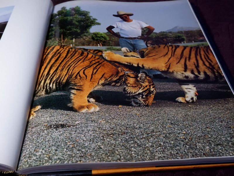 THAILAND seven days in the kingdom Times Editions