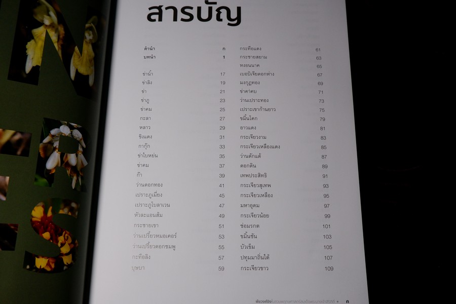 พืชวงศ์ขิง ในสวนพฤกษศาตร์สมเด็จพระนางเจ้าสิริกิติ์ ปกเเข็ง 436 หน้า