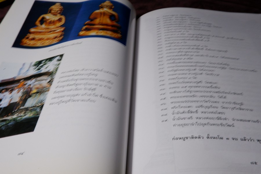 ตามรอยหลวงปู่ใหญ่(เล่มพิเศษ) หนา 266 หน้า พิมพ์ 1000 เล่ม ปี 2547 (สอบถาม)