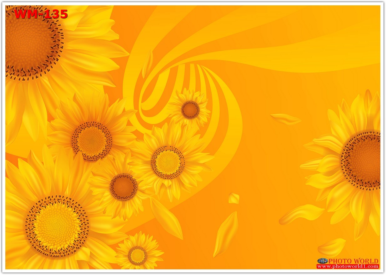 วอลเปเปอร์รูปภาพติดผนังสั่งทำ มีภาพให้เลือกกว่า 50,000 ภาพ ออกแบบกราฟฟิค หรือ รูปภาพตามที่ท่านกำหนด ในสไตล์ท่านเอง "custom made"