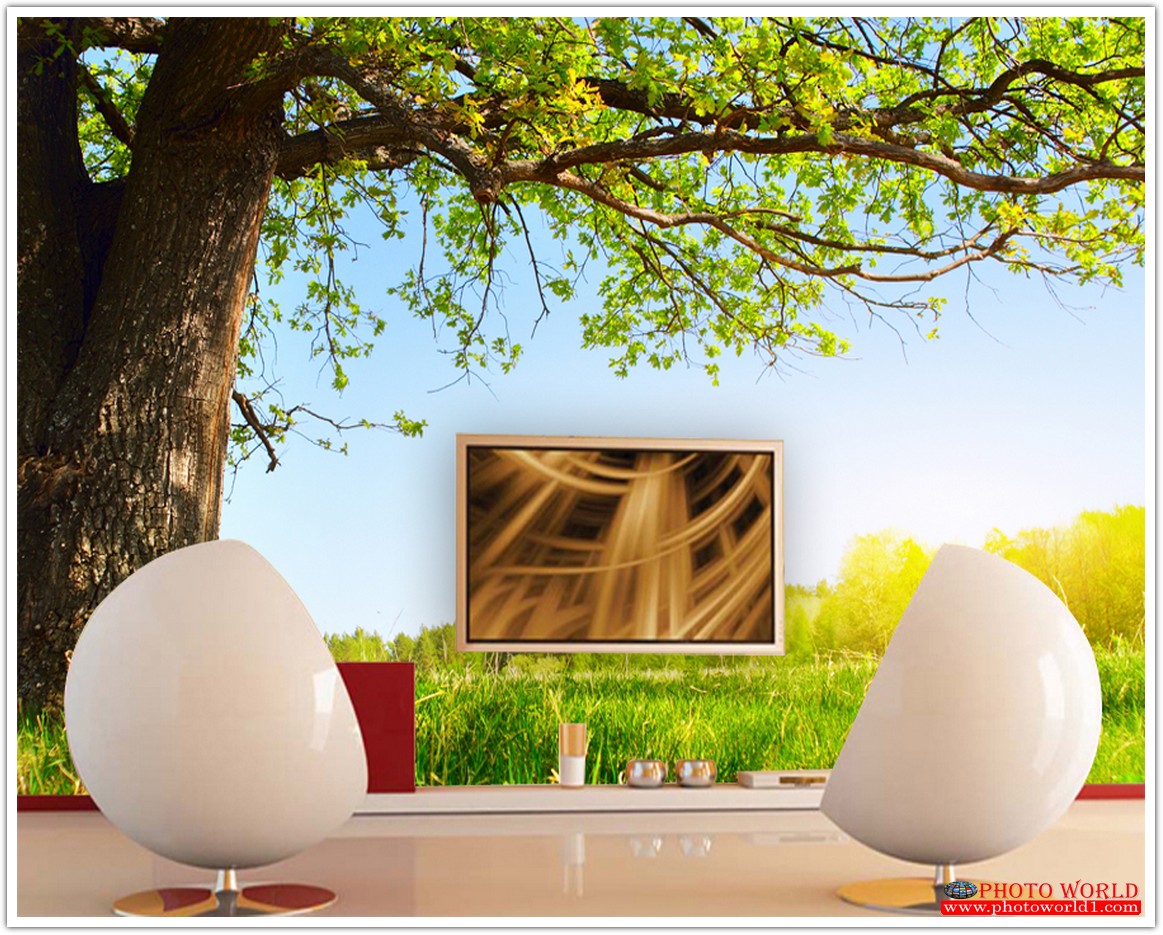 วอลเปเปอร์รูปภาพติดผนังสั่งทำ มีภาพให้เลือกกว่า 50,000 ภาพ ออกแบบกราฟฟิค หรือ รูปภาพตามที่ท่านกำหนด ในสไตล์ท่านเอง "custom made"