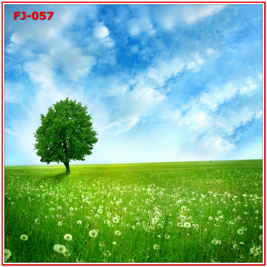 วอลเปเปอร์รูปภาพติดผนังสั่งทำ มีภาพให้เลือกกว่า 50,000 ภาพ ออกแบบกราฟฟิค หรือ รูปภาพตามที่ท่านกำหนด ในสไตล์ท่านเอง "custom made"