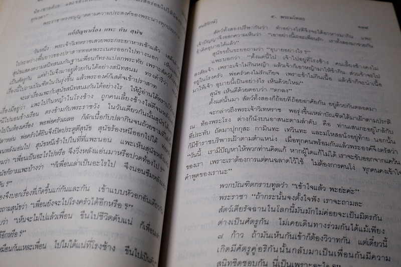 พระสิบชาติ เเปลก สนธิรักษ์ เล่าเรื่อง หนา 370 หน้า ปี 2534