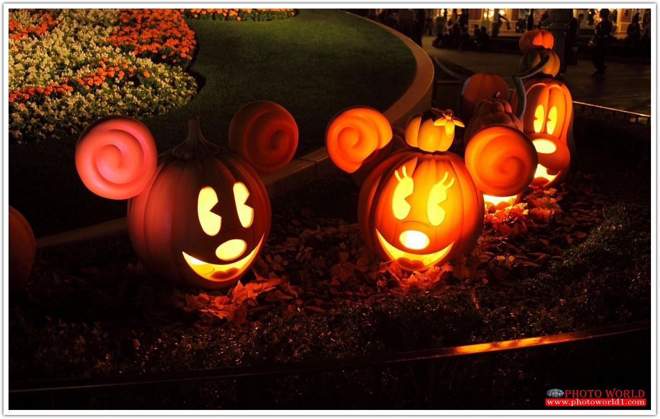 วอลเปเปอร์รูปภาพติดผนังสั่งทำ มีภาพให้เลือกกว่า 50,000 ภาพ ออกแบบกราฟฟิค หรือ รูปภาพตามที่ท่านกำหนด ในสไตล์ท่านเอง "custom made"