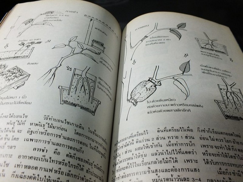 บอนไซ 01 02 03 รวม 3 เล่ม โดยชมรมบอนไซ(ไม้เเคระ) เเห่งประเทศไทย //สอบถาม//