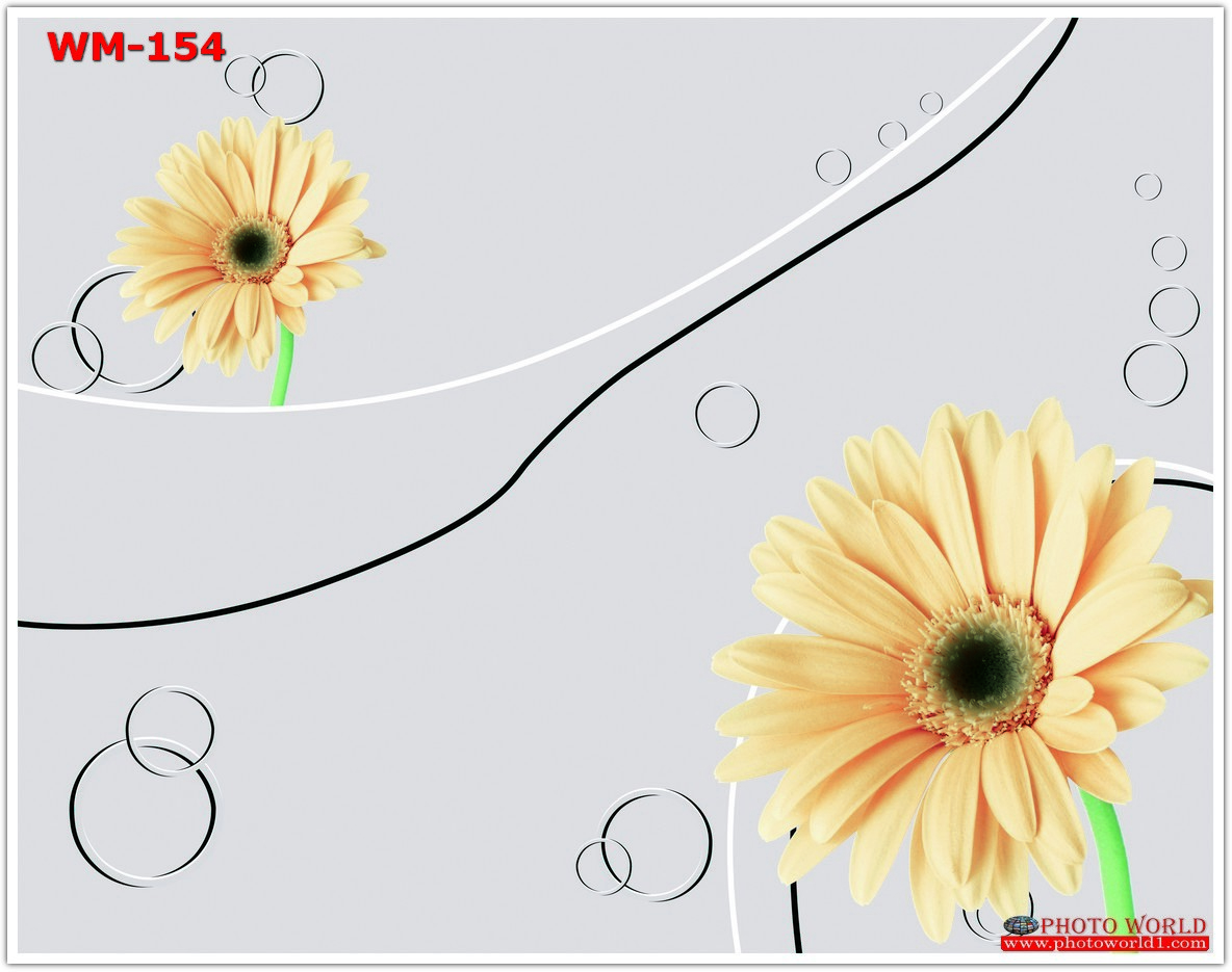 วอลเปเปอร์รูปภาพติดผนังสั่งทำ มีภาพให้เลือกกว่า 50,000 ภาพ ออกแบบกราฟฟิค หรือ รูปภาพตามที่ท่านกำหนด ในสไตล์ท่านเอง "custom made"