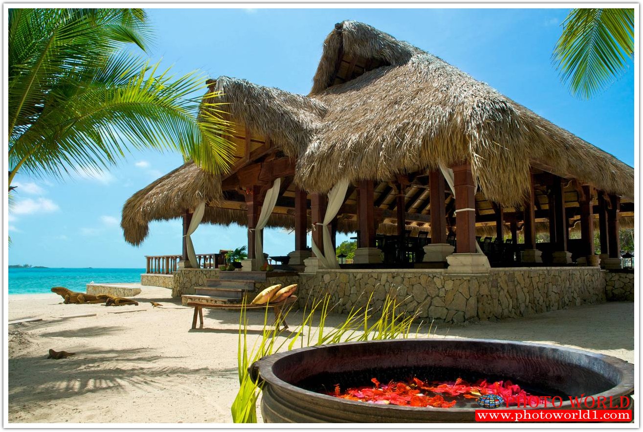 วอลเปเปอร์รูปภาพติดผนังสั่งทำ มีภาพให้เลือกกว่า 50,000 ภาพ ออกแบบกราฟฟิค หรือ รูปภาพตามที่ท่านกำหนด ในสไตล์ท่านเอง "custom made"