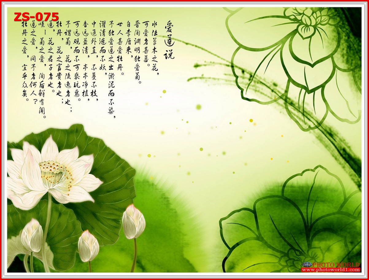 วอลเปเปอร์รูปภาพติดผนังสั่งทำ มีภาพให้เลือกกว่า 50,000 ภาพ ออกแบบกราฟฟิค หรือ รูปภาพตามที่ท่านกำหนด ในสไตล์ท่านเอง "custom made"