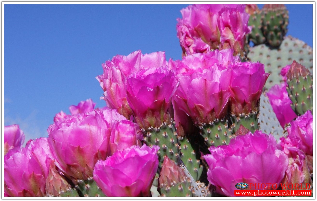 วอลเปเปอร์รูปภาพติดผนังสั่งทำ มีภาพให้เลือกกว่า 50,000 ภาพ ออกแบบกราฟฟิค หรือ รูปภาพตามที่ท่านกำหนด ในสไตล์ท่านเอง "custom made"