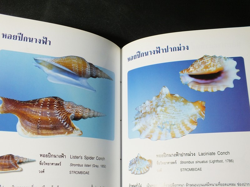 หอยเป็นยา ตามตำรับยาการเเพทย์เเผนไทย โดย เเพทย์หญิงเพ็ญนภา ทรัพย์เจริญ ปกแข็ง ปี 2545