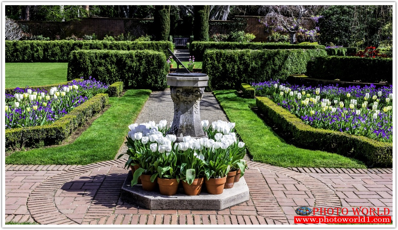 NATURAL วอลเปเปอร์รูปภาพติดผนังสั่งทำ มีภาพให้เลือกกว่า 50,000 ภาพ ออกแบบกราฟฟิค หรือ รูปภาพตามที่ท่านกำหนด ในสไตล์ท่านเอง "custom made"