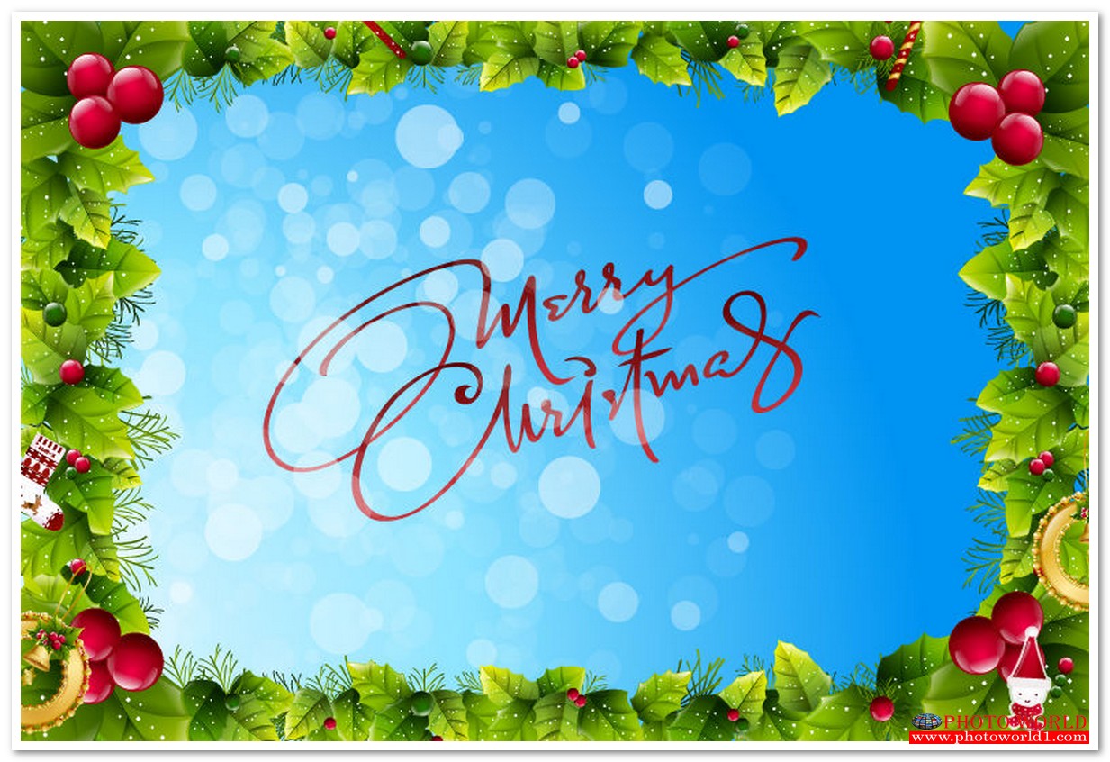 กรอบดอกไม้(FLOWER) สั่งทำวอลเปเปอร์ รูปภาพติดผนัง มีภาพให้เลือกกว่า 50,000 ภาพ ออกแบบกราฟฟิค หรือ รูปภาพตามที่ท่านกำหนด ในสไตล์ท่านเอง "custom made"