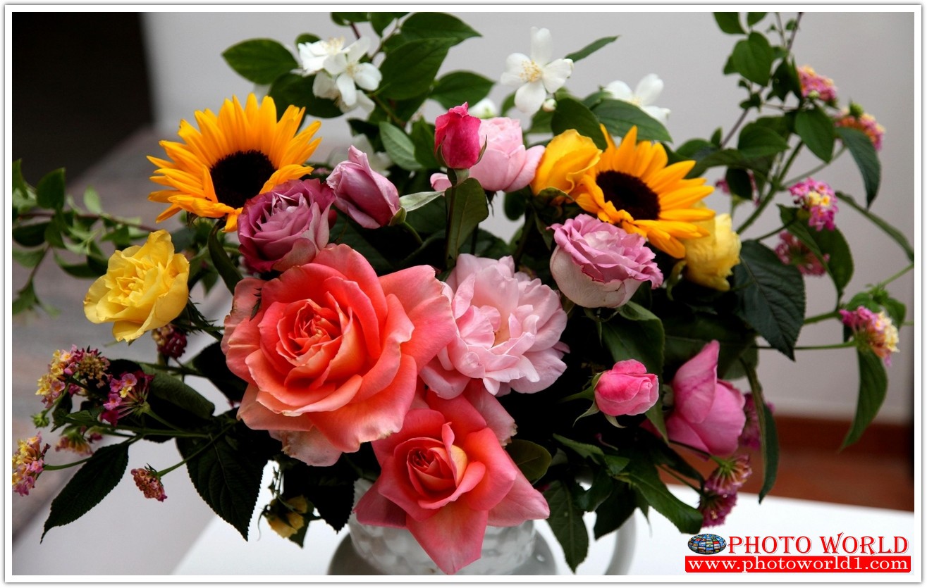 วอลเปเปอร์รูปภาพติดผนังสั่งทำ มีภาพให้เลือกกว่า 50,000 ภาพ ออกแบบกราฟฟิค หรือ รูปภาพตามที่ท่านกำหนด ในสไตล์ท่านเอง "custom made"