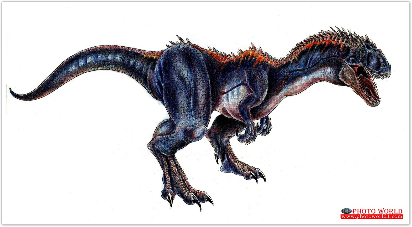 วอลเปเปอร์รูปภาพติดผนังสั่งทำ DINOSAUR(PHOTO STOCK) มีภาพให้เลือกกว่า 50,000 ภาพ ออกแบบกราฟฟิค หรือ รูปภาพตามที่ท่านกำหนด ในสไตล์ท่านเอง "custom made"