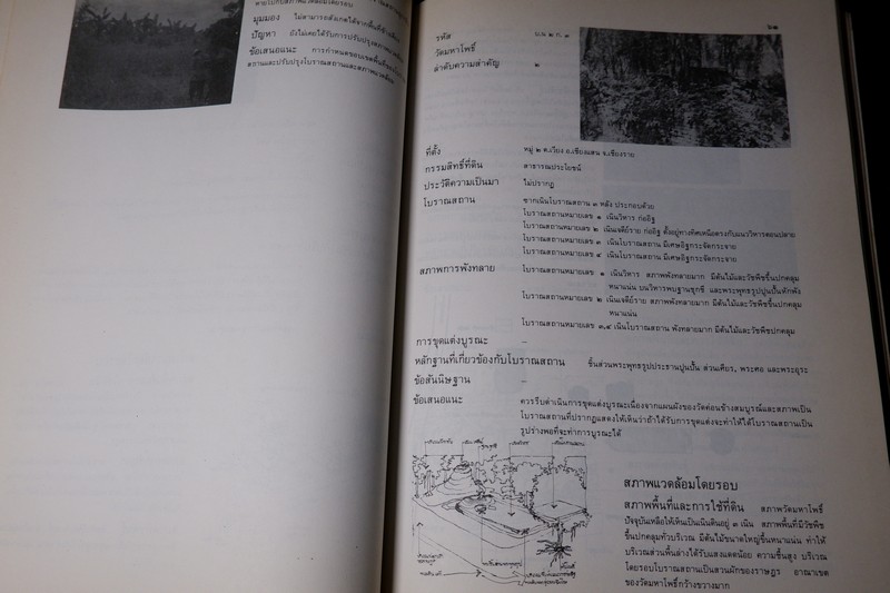 เมืองเจียงเเสน รายงานสำรวจโบราณสถาน โดย กรมศิลปากร หนา 227 หน้า ปี 2530
