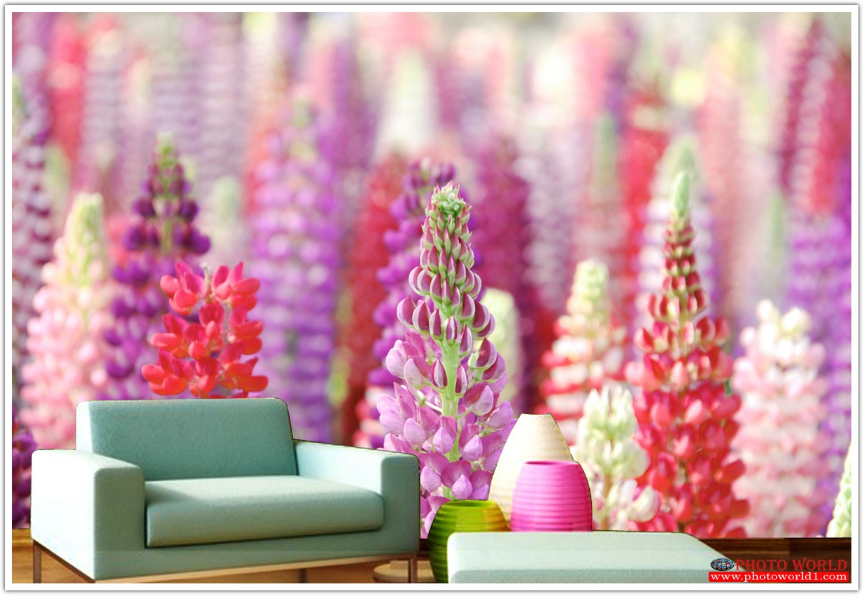 วอลเปเปอร์รูปภาพติดผนังสั่งทำ มีภาพให้เลือกกว่า 50,000 ภาพ ออกแบบกราฟฟิค หรือ รูปภาพตามที่ท่านกำหนด ในสไตล์ท่านเอง "custom made"