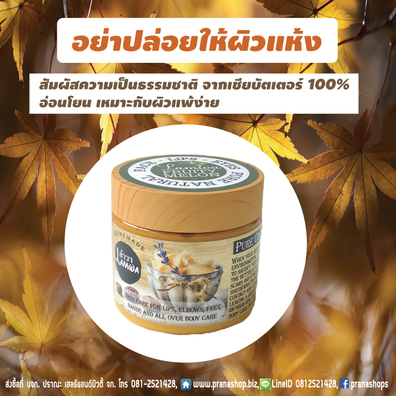 [ลิปบาล์ม อายครีม ลบผิวแตกลาย ฯลฯ] Prana Shop Organic Shea Butter ออร์แกนิค เชียบัตเตอร์ 60g.