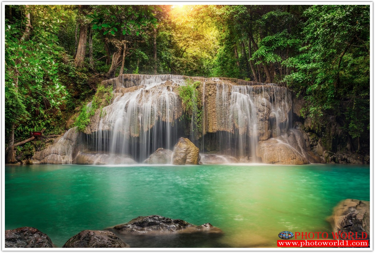 NATURAL วอลเปเปอร์รูปภาพติดผนังสั่งทำ มีภาพให้เลือกกว่า 50,000 ภาพ ออกแบบกราฟฟิค หรือ รูปภาพตามที่ท่านกำหนด ในสไตล์ท่านเอง "custom made"