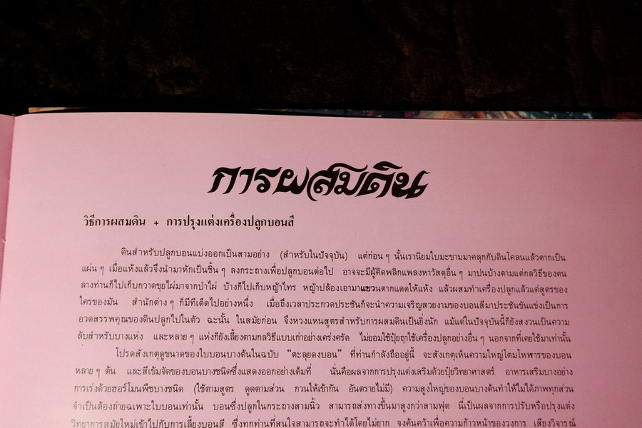 ตะลุยดงบอน โดย เชษฐา ปกเเข็ง 113 หน้า ปี 2524