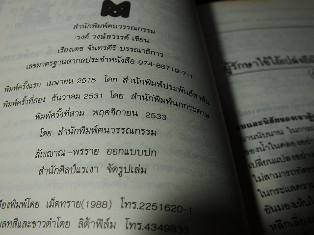 ปีนตลิ่ง โดย รงค์ วงษ์สวรรค์ ปี 2533