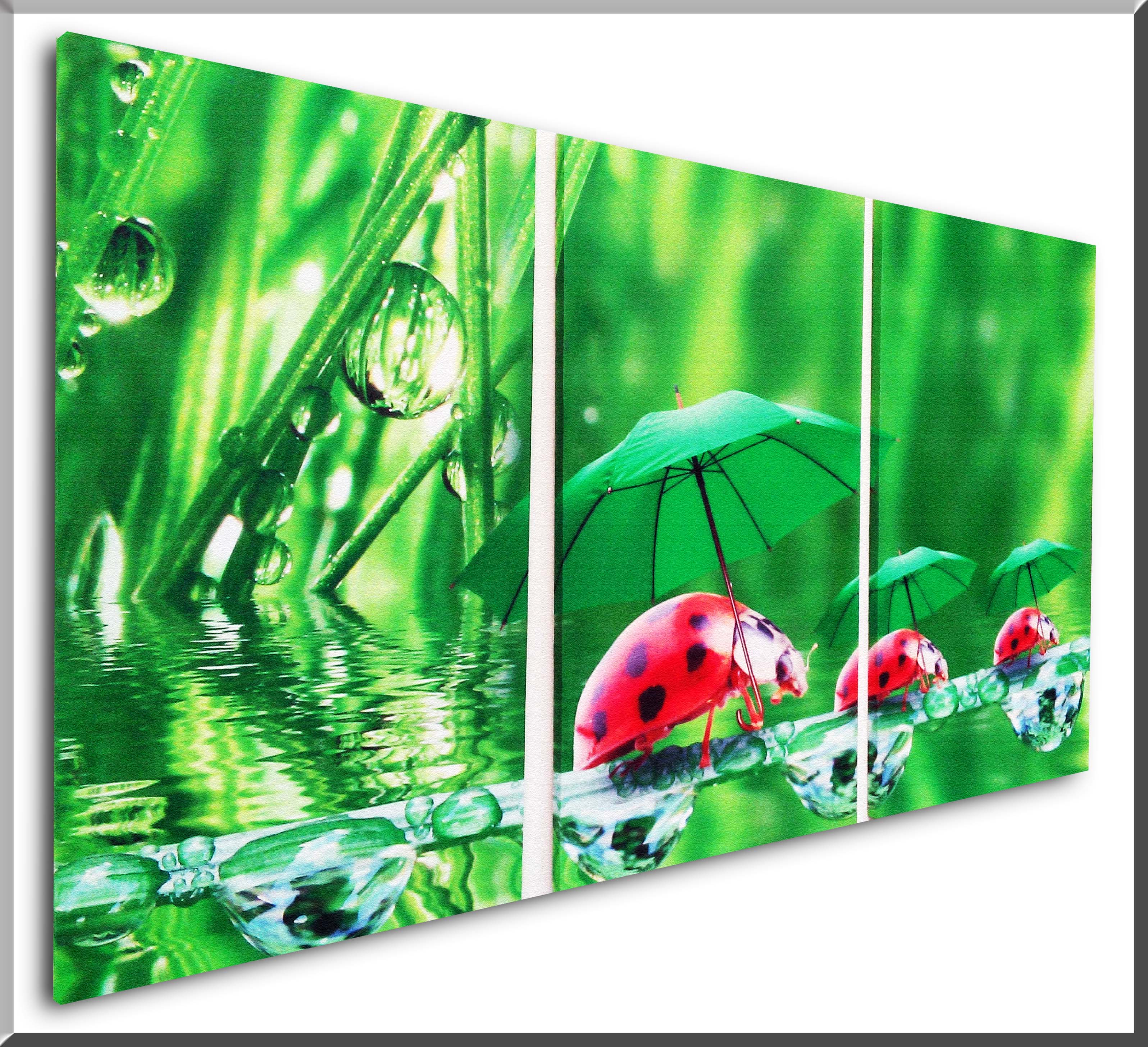 SIZE;M 3SET,NATURAL-3 สั่งทำวอลเปเปอร์ รูปภาพติดผนัง มีภาพให้เลือกกว่า 50,000 ภาพ ออกแบบกราฟฟิค หรือ รูปภาพตามที่ท่านกำหนด ในสไตล์ท่านเอง "custom made"