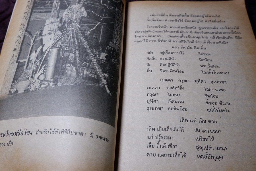 ของดีจากปั๊บสา โดย ญาณสมฺปนฺโน หนา 320 หน้า