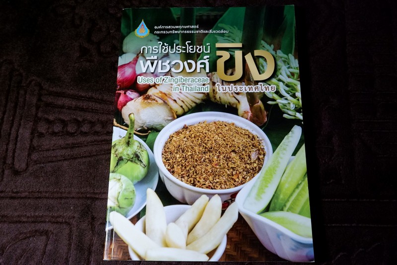 การใช้ประโยชน์ พืชวงศ์ขิง ในประเทศไทย ปี 2563