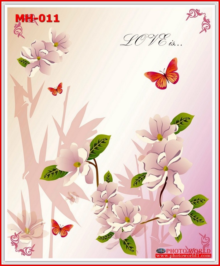 วอลเปเปอร์รูปภาพติดผนังสั่งทำ มีภาพให้เลือกกว่า 50,000 ภาพ ออกแบบกราฟฟิค หรือ รูปภาพตามที่ท่านกำหนด ในสไตล์ท่านเอง "custom made"