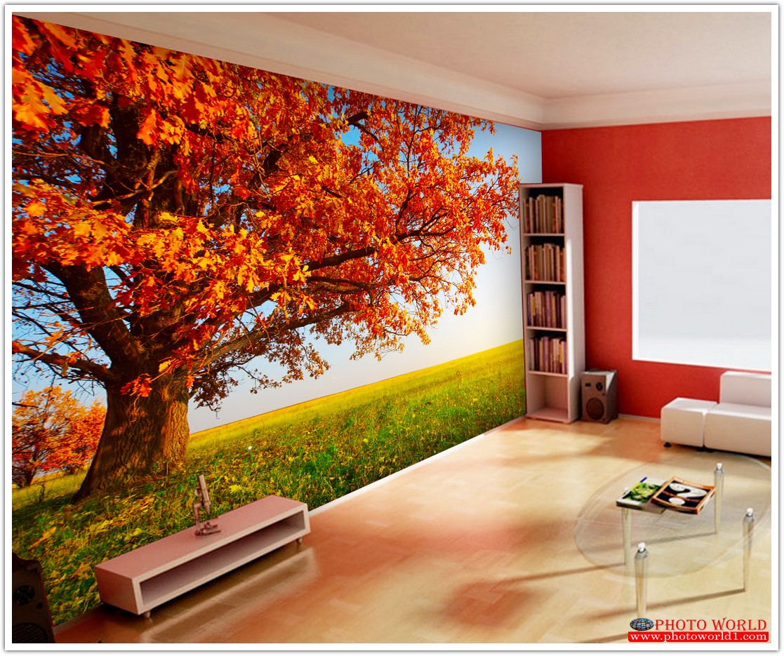 วอลเปเปอร์รูปภาพติดผนังสั่งทำ มีภาพให้เลือกกว่า 50,000 ภาพ ออกแบบกราฟฟิค หรือ รูปภาพตามที่ท่านกำหนด ในสไตล์ท่านเอง "custom made"