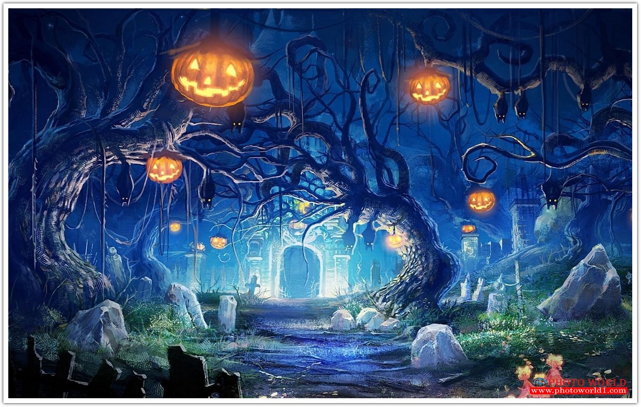 วอลเปเปอร์รูปภาพติดผนังสั่งทำ มีภาพให้เลือกกว่า 50,000 ภาพ ออกแบบกราฟฟิค หรือ รูปภาพตามที่ท่านกำหนด ในสไตล์ท่านเอง "custom made"