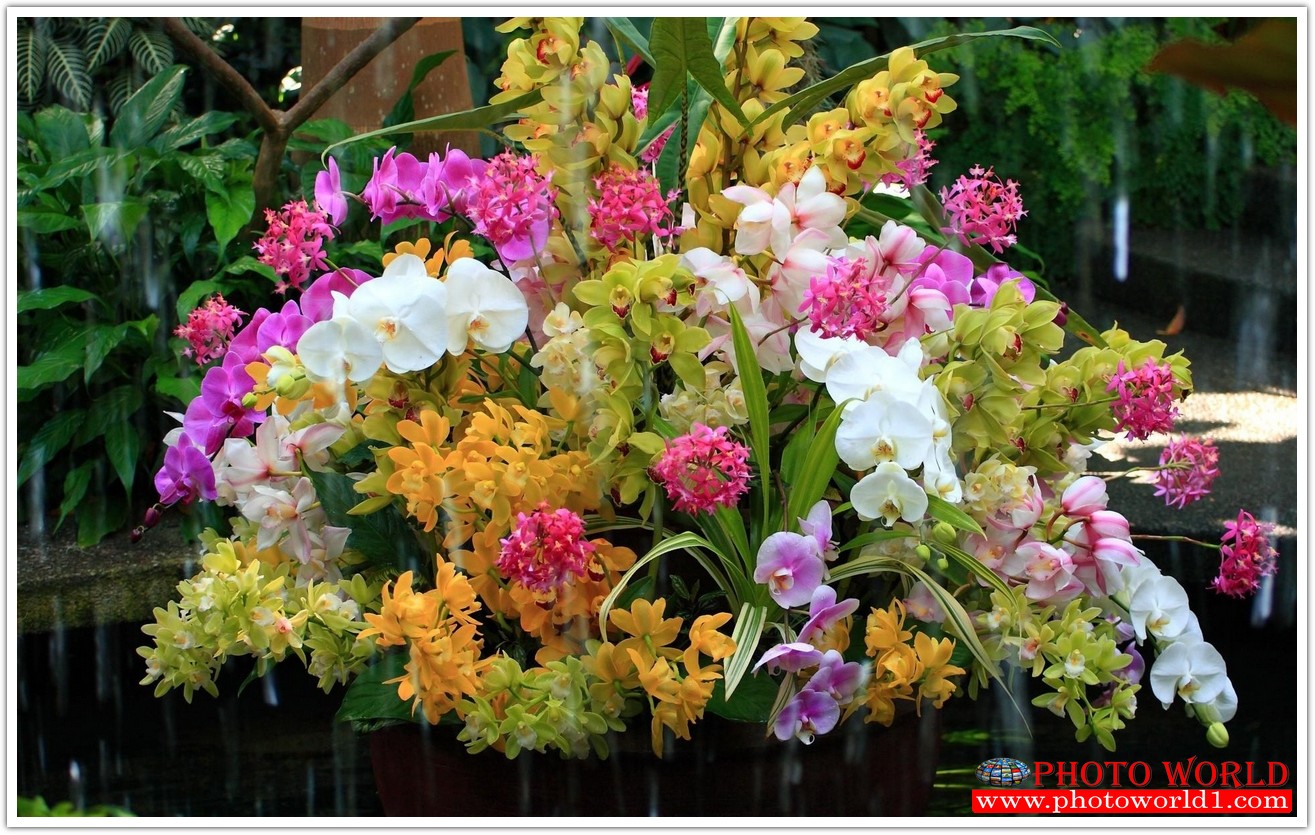 วอลเปเปอร์รูปภาพติดผนังสั่งทำ มีภาพให้เลือกกว่า 50,000 ภาพ ออกแบบกราฟฟิค หรือ รูปภาพตามที่ท่านกำหนด ในสไตล์ท่านเอง "custom made"