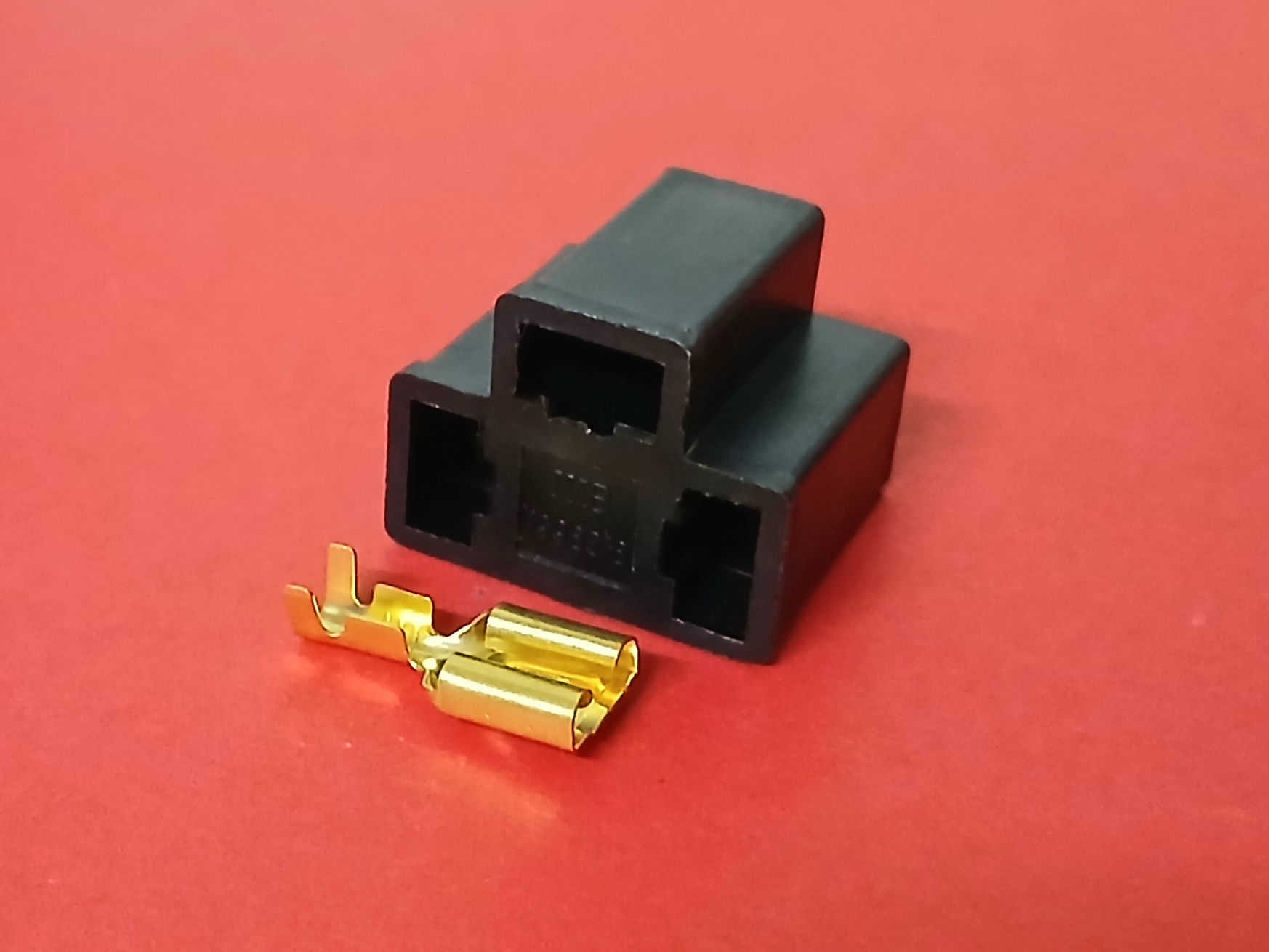 H4 ตัวเมีย