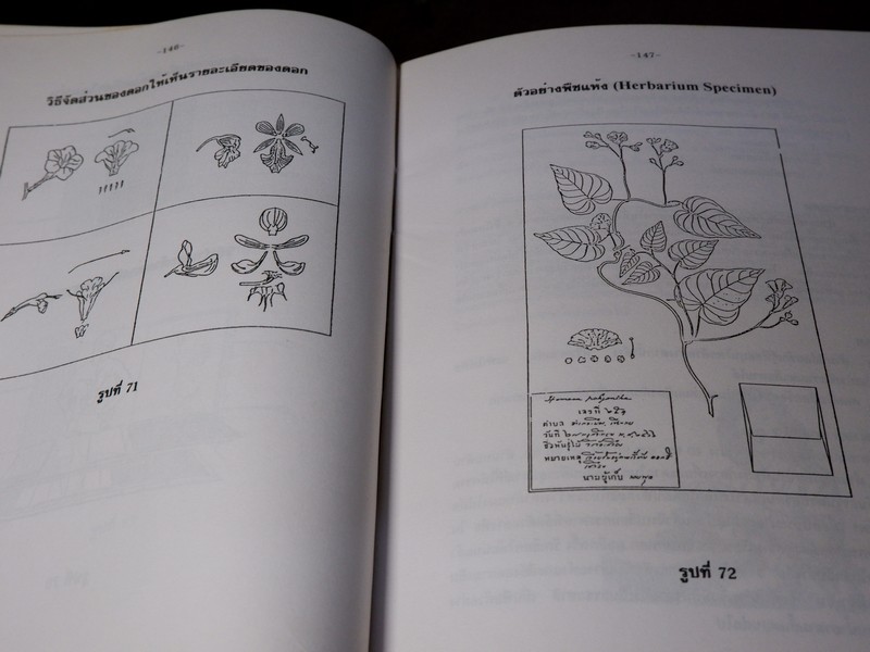 การตรวจเอกลักษณ์พืชสมุนไพร ภาคพิเศษ โดย สถาบันการเเพทย์ไทย เเละ คณะเภสัช ม.เชียงใหม่
